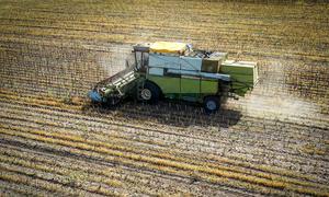 A crop farm in Baranove, Odesa region, Ukraine. (file)