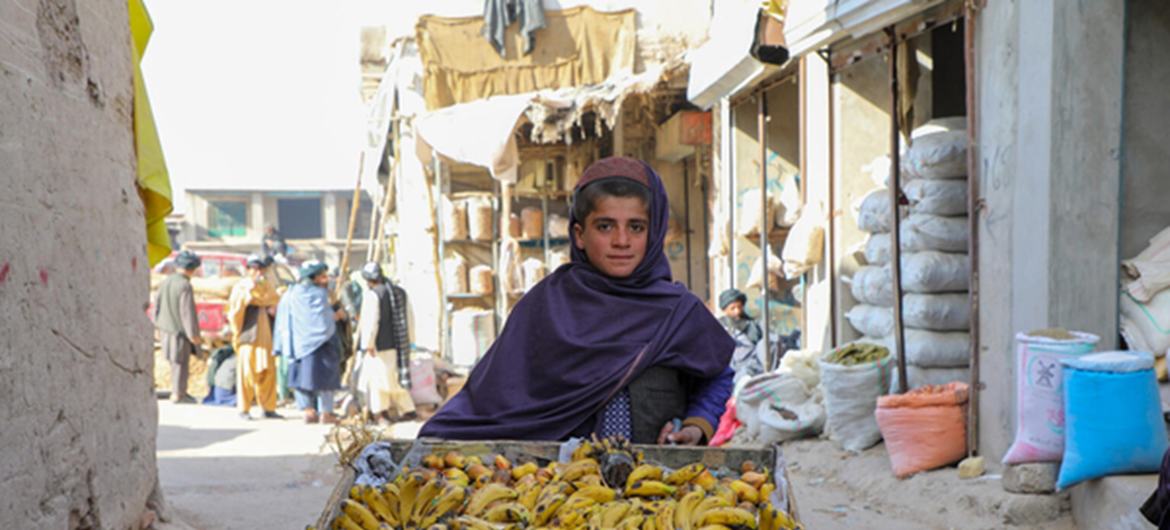 media:entermedia_image:bfbb6630-abb9-4b98-b3e6-73b5e82719fb