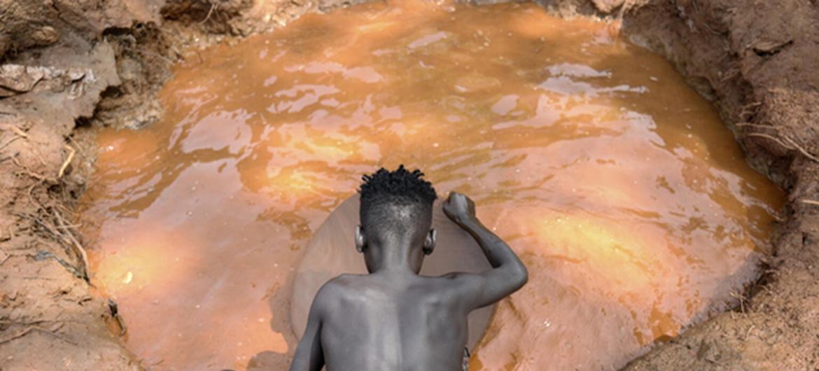 media:entermedia_image:f321a44d-f9cf-49eb-af61-eb11c2ab73e2