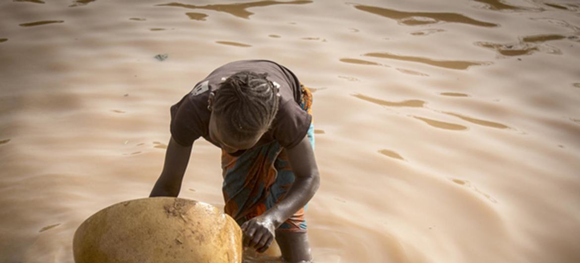 media:entermedia_image:22900288-4ab1-4e92-b7f4-6573bb948032