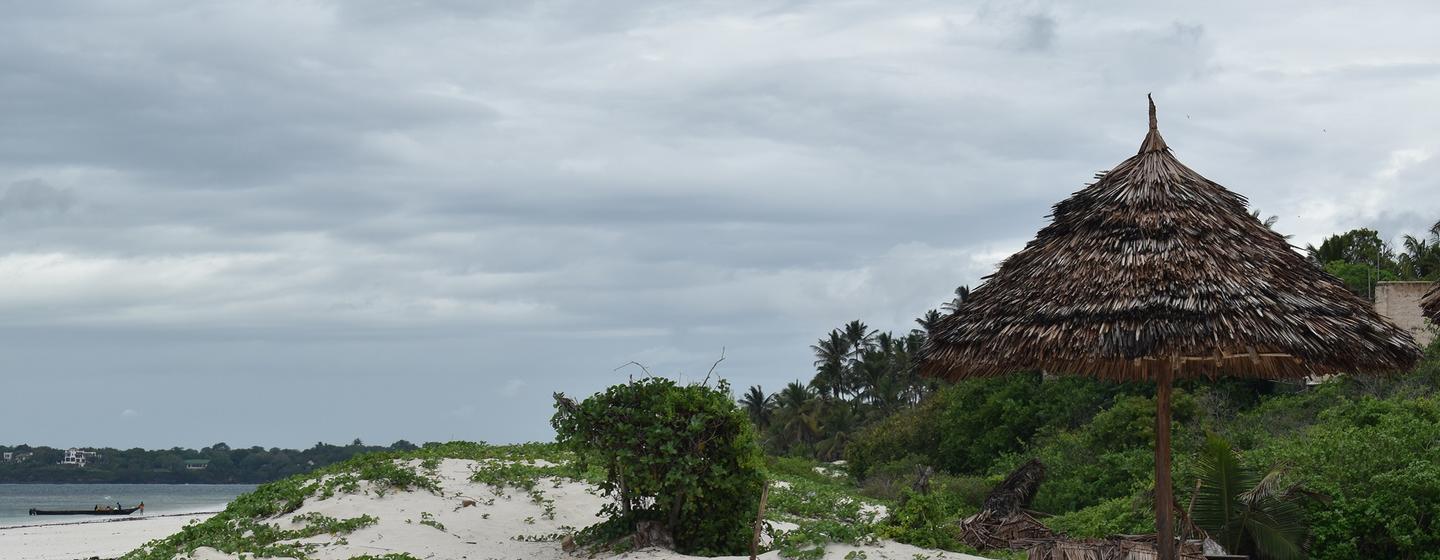 media:entermedia_image:563449da-2fe6-4cf6-af1d-1470b974d559