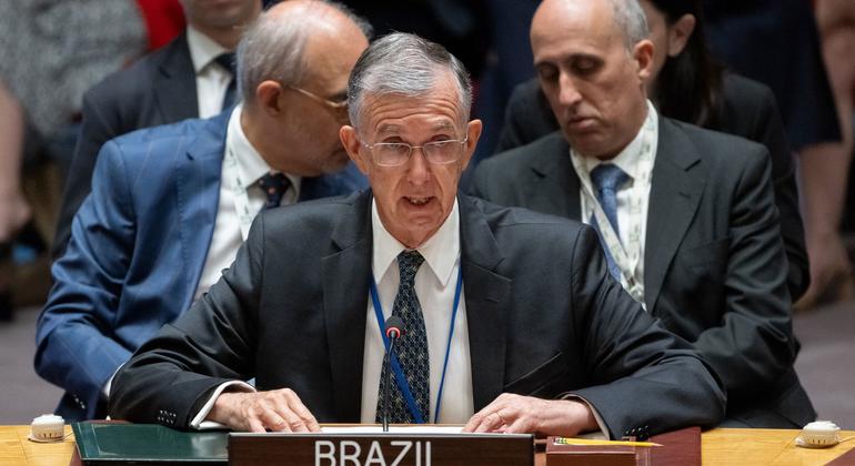 مندوب البرازيل لدى الأمم المتحدة، السفير سيرجيو فرانكا دانيس.