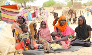 A Sudanese family take shelter at a refugee entry point near the Chadian border with Sudan.