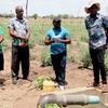 Wanaume wanne wamesimama shambani huko Tana River, Kenya, wakiangalia mfumo wa umwagiliaji. Mwanamume mmoja aliyevaa shati la bluu lenye nembo ya UNDP anazungumza.