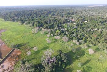 The worsening impacts of climate change highlight the urgent need for action.