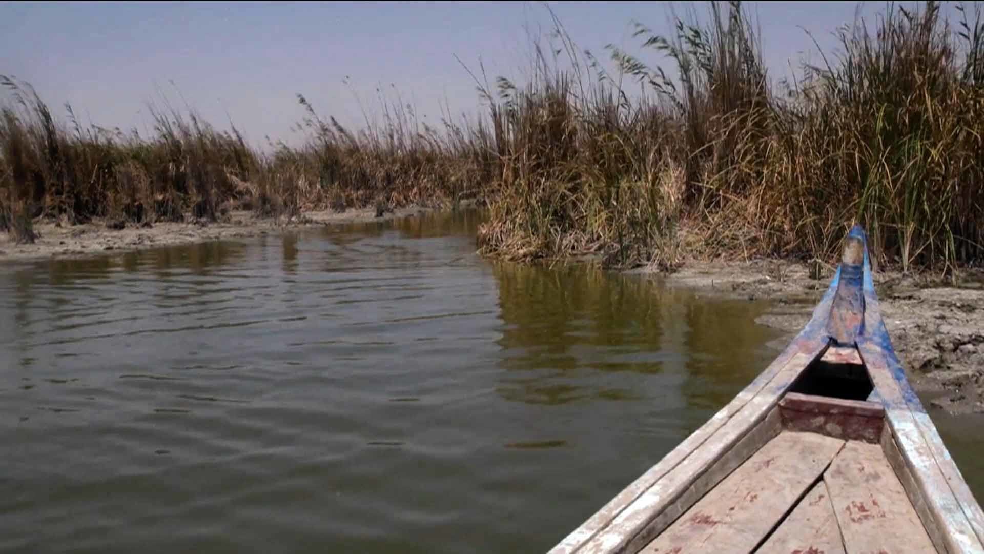تأثرت منطقة الأهوار في العراق بشدة بتغير المناخ وتقلصت كميات المياه.