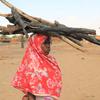 Une jeune femme transporte du bois dans une ville du Darfour occidental.(archives)