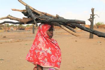 Une jeune femme transporte du bois dans une ville du Darfour occidental.(archives)