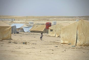 Un niño camina en el campamento de Al Hol en Siria, que alberga más de 70.000 personas. 