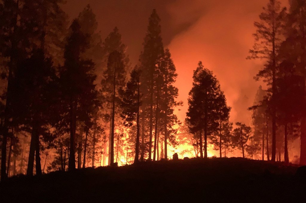 Les pompiers de Californie et d’autres parties de la côte ouest des États-Unis ont eu du mal à contenir les incendies de forêt.