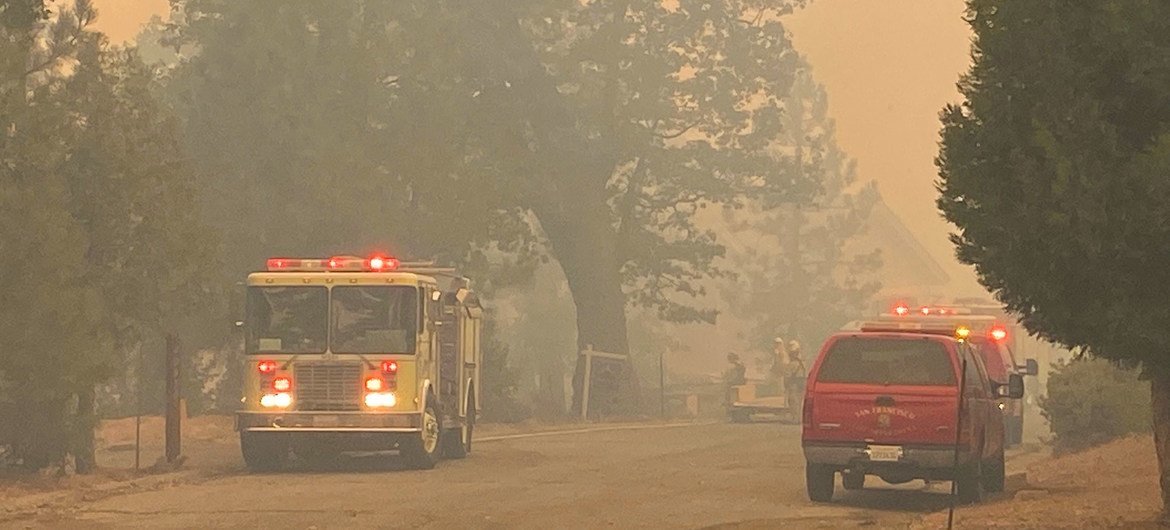 Caminhões de bombeiros e veículos de emergência em uma estrada em meio a uma floresta esfumaçada e com neblina.