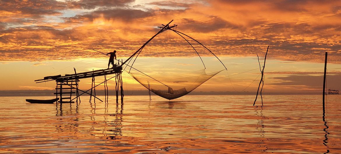 La ONU apoya en Tailandia la agricultura sostenible, incluido el sector pesquero.