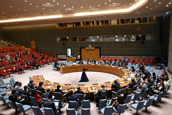 منظر واسع لقاعة مجلس الأمن أثناء اجتماع بشأن الوضع في السودان.
