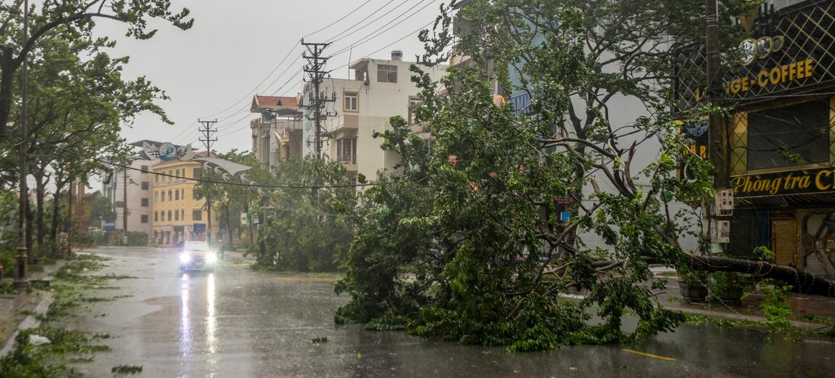 Damage caused by Typhoon Yagi in Cam Pha, a major port in Quang Ninh province, Vietnam.