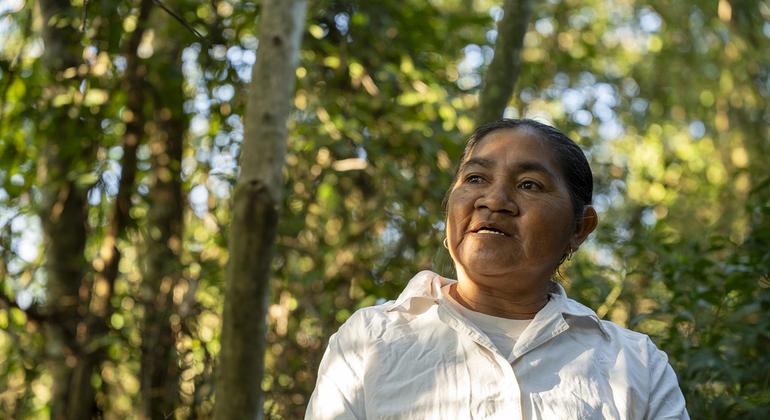 Teodora Vera, mujer indígena rural, participante del proyecto PROEZA.