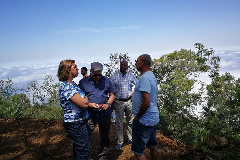 Projeto de reflorestamento em Cabo Verde