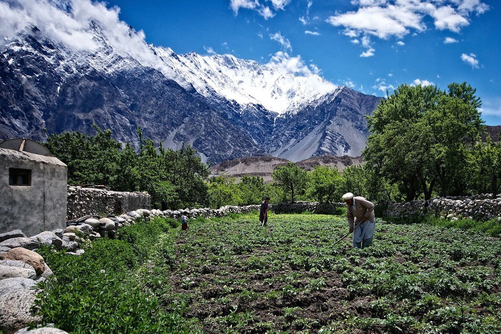 پاکستان کے پہاڑی علاقوں میں ایک چھوٹا زرعی فارم جسے خاندان کے سب لوگ مل کر چلاتے ہیں۔ پہاڑی زراعت صدیوں سے خوارک کے حصول کا ایک پائیدار ذریعہ رہا ہے۔