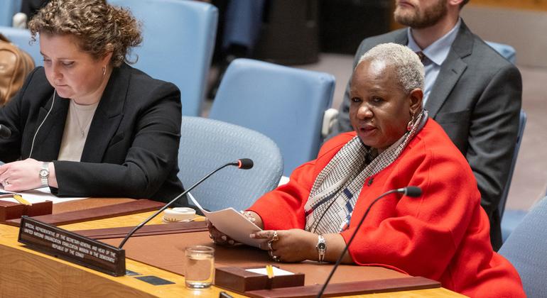 Bintou Keita, Special Representative of the Secretary-General and Head of the UN Organization Stabilization Mission in the Democratic Republic of the Congo (MONUSCO), briefs the Security Council meeting on the work of the mission and the situation in the