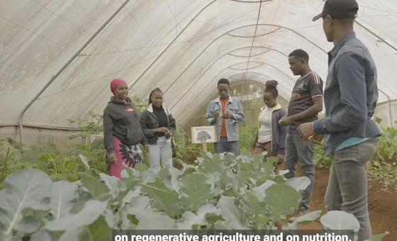 UNICEF Kenya imeunga mkono mradi wa vijana uitwao Empowering Kenyan Youth in Agribusiness and Nutrition (EKYAN) kuwawezesha vijana kwa mafunzo ya kilimo rejelevu.