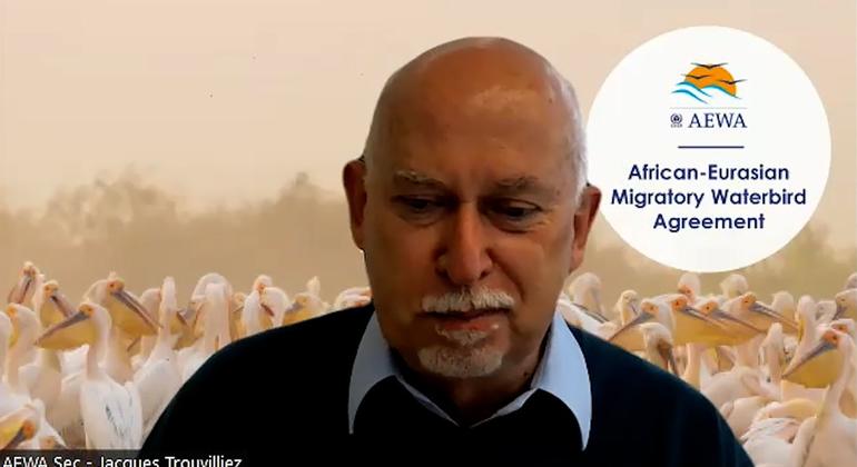 Jacques Trouvilliez, Secrétaire exécutif de l’Accord sur la conservation des oiseaux d'eau migrateurs d'Afrique-Eurasie (AEWA)