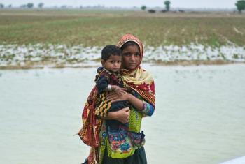 पाकिस्तान में आई अभूतपूर्व बाढ़ से बड़ी संख्या में परिवार विस्थापन के लिए मजबूर हुए हैं.