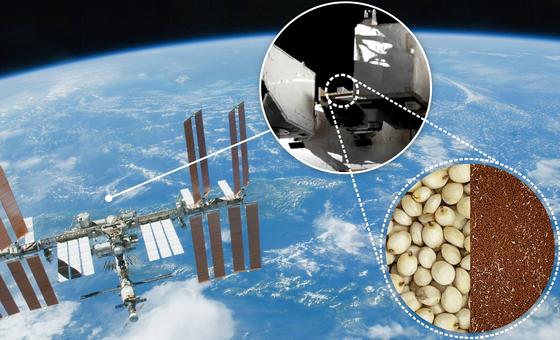 Energia nuclear é grande aliada para mitigar mudança climática