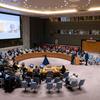 联合国安理会召开会议讨论中东局势，包括巴勒斯坦问题。