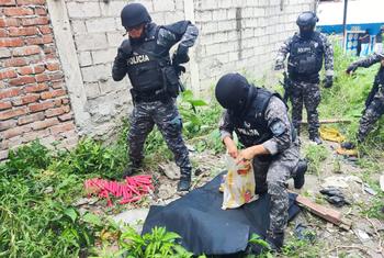 Operación policial en Santo Domingo de los Tsáchilas (176 km al sur de Quito).