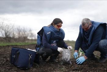 media:entermedia_image:14bdb770-764b-4d3e-8b8d-5fd4928fc4f4