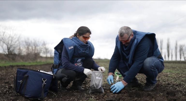 Ukraine : la FAO dévoile son plan de relèvement pour l’agriculture face aux ravages de la guerre