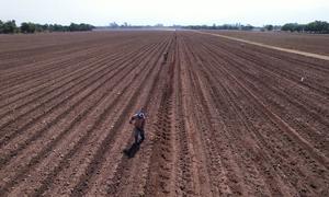Men work in a tobacco field in Argentina.