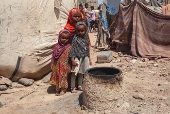 यमन के मोखा में एक अस्थाई शिविर में कुछ विस्थापित बच्चे.
