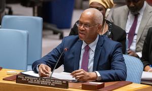 El-Ghassim Wane, Special Representative of the Secretary-General and Head of the UN Multidimensional Integrated Stabilization Mission in Mali (MINUSMA), briefs the Security Council meeting on the situation in Mali.