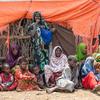 Un camp de personnes déplacées à Baidoa, en Somalie.