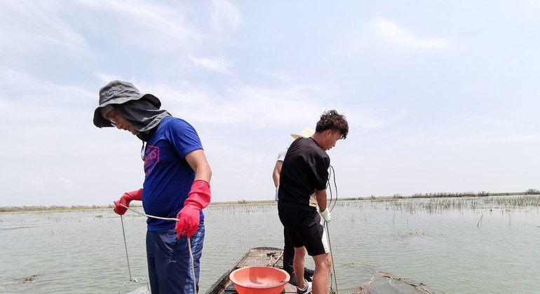 في عام 2019، أجرى خبراء استعادة الأراضي الرطبة في مشروع جيانغشي التابع لمنظمة الأغذية والزراعة ومرفق البيئة العالمي (GEF) مسحا للنباتات المغمورة في بحيرة تشانجوتشي ببحيرة بويانغ.