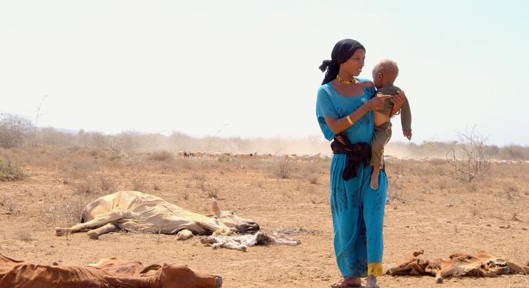 केनया में सूखे से प्रभावित इलाक़े में एक महिला अपने बच्चे के साथ.