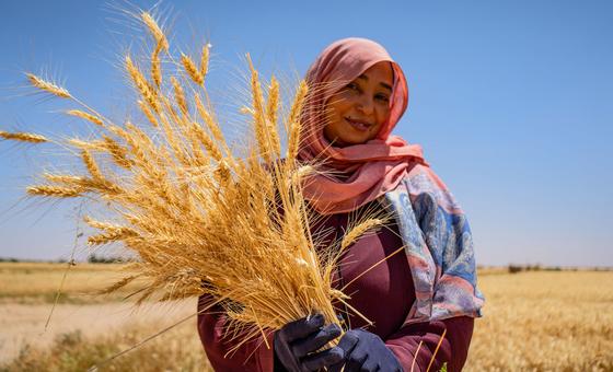 Sudan’s farmers are ready to return – private investment could get them there