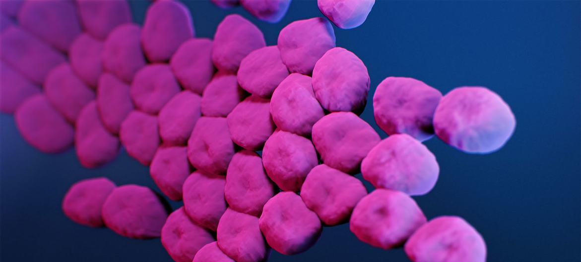 Uma ilustração médica retrata Enterobacteriaceae resistentes a carbapenêmicos Uma ilustração médica retrata Enterobacteriaceae resistentes a carbapenêmicos
