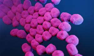 A medical illustration depicts carbapenem-resistant enterobacteriaceae.