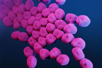 Uma ilustração médica retrata Enterobacteriaceae resistentes a carbapenêmicos