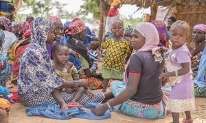 Several countries in West Africa and the Sahel are grappling with a host of challenges, including economic and humanitarian.