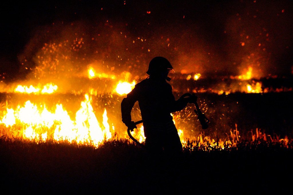 Un pompier lutte contre un feu de forêt.