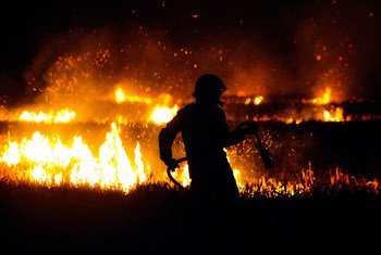Um bombeiro combate um incêndio florestal