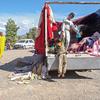 Dos tercios de los Objetivos de Desarrollo relacionados con la infancia no están en camino de lograrse en 2030. En la imagen, familias de la pequeña ciudad marroquí de Moulay Brahim recogen sus pertenencias tras el terremoto.