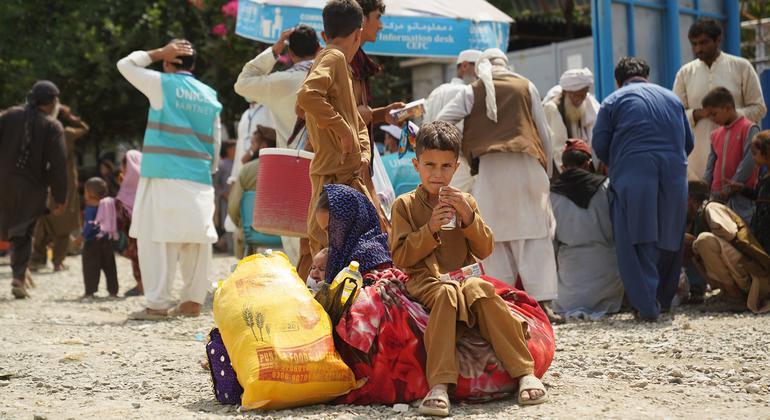 Amidst uncertainty, a helpline in Pakistan becomes a lifeline for Afghans