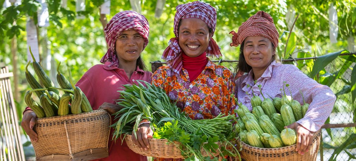 कम्बोडिया में लघु स्तर वाले किसान, अपने कृषि उत्पादों की बिक्री से आय अर्जित करते हुए.