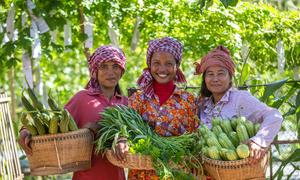 Smallholder farmers in Cambodia are generating income through selling their  agricultural products.