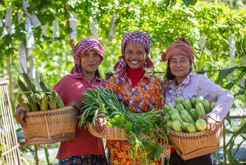 کمبوڈیا میں چھوٹے کاشتکار زرعی اجناس فروخت کر کے آمدنی حاصل کرتے ہیں۔