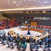 O Conselho de Segurança se reuniu para debater o clima na África e o impacto na paz e na segurança