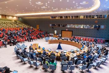 O Conselho de Segurança se reuniu para debater o clima na África e o impacto na paz e na segurança